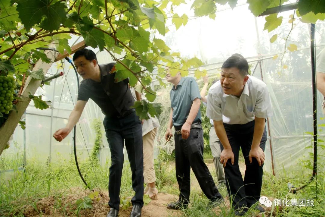 1164e4c1a084de042 首页 | J9集团有限公司官网